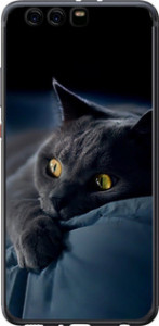Чехол на Huawei P10 Plus Димчастий кіт 825u-963 (Сірий)
