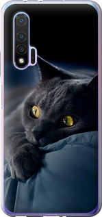 Чехол на Huawei Nova 6 Дымчатый кот 825u-1821 (Серый)