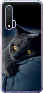 Чехол на Huawei Nova 6 Дымчатый кот 825u-1821 (Серый)