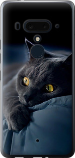 Чехол на HTC U12 Plus Дымчатый кот 825u-1712 (Серый)