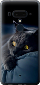 Чохол на HTC U12 Plus Димчастий кіт 825u-1712 (Сірий)