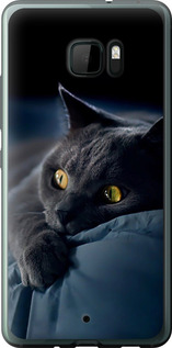 Чехол на HTC U Ultra Дымчатый кот 825u-833 (Серый)