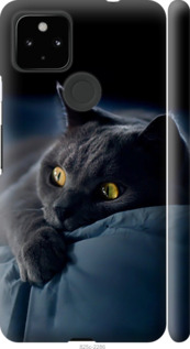 Чехол на Google Pixel 5A Дымчатый кот 825m-2286 (Серый)