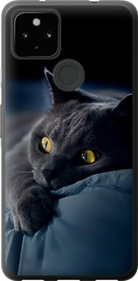 Чехол на Google Pixel 5A Дымчатый кот 825t-2286 (Серый)