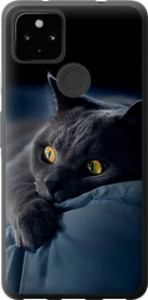 Чехол на Google Pixel 5A Дымчатый кот 825t-2286 (Серый)