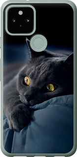Чехол на Google Pixel 5 Дымчатый кот 825u-2044 (Серый)