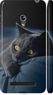 Чехол на Asus Zenfone 5 Димчастий кіт 825m-81 (Сірий)