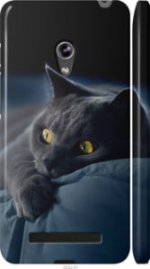 Чехол на Asus Zenfone 5 Димчастий кіт 825c-81 (Сірий)
