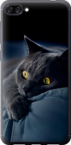 Чехол на Asus ZenFone 4 Max ZC520KL Дымчатый кот 825u-1242 (Серый)