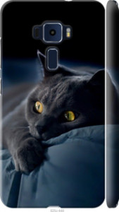 Чехол на Asus Zenfone 3 ZE552KL Дымчатый кот 825m-448 (Серый)