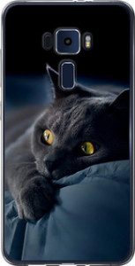 Чехол на Asus Zenfone 3 ZE552KL Дымчатый кот 825u-448 (Серый)