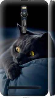 Чехол на Asus Zenfone 2 ZE551ML Дымчатый кот 825m-122 (Серый)