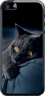 Чехол на iPhone 5 Дымчатый кот 825t-18 (Серый)