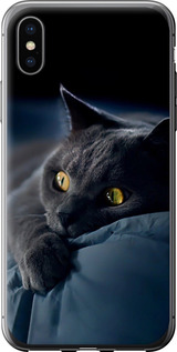 Чохол на iPhone X Димчатий кіт 825t-1050 (Сірий)