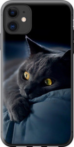 Чехол на iPhone 11 Димчастий кіт 825u-1722 (Сірий)