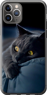 Чехол на iPhone 11 Pro Дымчатый кот 825t-1788 (Серый)