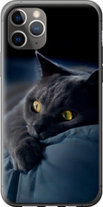 Чохол на iPhone 11 Pro Max Димчастий кіт 825t-1723 (Сірий)