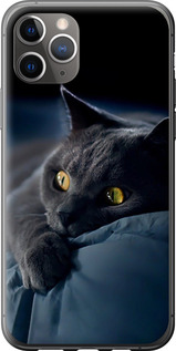Чохол на iPhone 11 Pro Max Димчастий кіт 825u-1723 (Сірий)