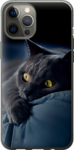Чехол на iPhone 12 Pro Max Дымчатый кот 825t-2054 (Серый)