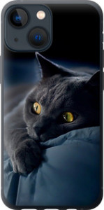 Чехол на iPhone 13 Mini Димчастий кіт 825t-2373 (Сірий)
