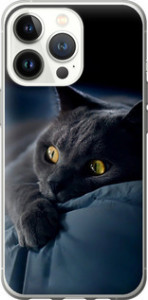 Чехол на iPhone 13 Pro Дымчатый кот 825u-2372 (Серый)