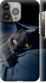 Чехол на iPhone 13 Pro Max Димчастий кіт 825m-2371 (Сірий)
