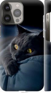 Чехол на iPhone 13 Pro Max Димчастий кіт 825m-2371 (Сірий)