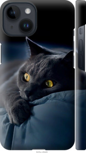 Чохол на iPhone 14 Димчастий кіт 825m-2648 (Сірий)
