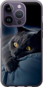 Чехол на iPhone 14 Pro Дымчатый кот 825u-2646 (Серый)