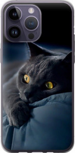 Чехол на iPhone 14 Pro Max Димчастий кіт 825u-2667 (Сірий)