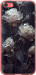 Чехол на iPhone 5c Розы 2 5550t-23 (Черный)