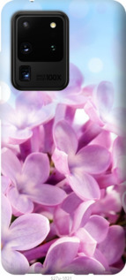

Чехол Сирень для Samsung Galaxy S20 Ultra 1013977