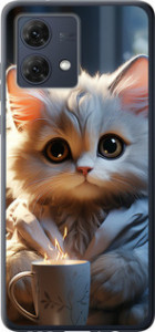 Чехол на Motorola Moto G84 White cat 5646u-3344