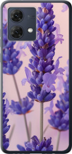 Чехол на Motorola Moto G84 Лаванда 6037u-3344 (Фиолетовый)