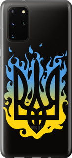 Чехол на Samsung Galaxy S20 Plus Герб v1 5258t-1822 (Желтый)