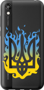 Чехол на Huawei Honor 8S Герб v1 5258t-1679 (Желтый)