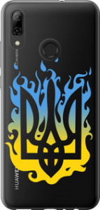 Чохол на Huawei P Smart 2019 Герб v1 5258u-1634 (Жовтий)