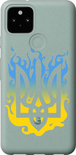 Чехол на Google Pixel 5 Герб v1 5258u-2044 (Желтый)