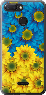 Чехол на Xiaomi Redmi 6 Жёлто-голубые цветы 1048t-1521 (Желтый)