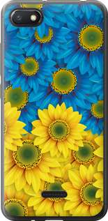 Чехол на Xiaomi Redmi 6A Жовто-блакитні квіти 1048u-1531 (Жовтий)
