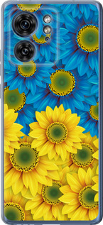 Чехол на Motorola Edge 40 Жёлто-голубые цветы 1048u-3335 (Желтый)