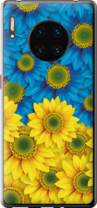 Чехол на Huawei Mate 30 Pro Жёлто-голубые цветы 1048u-1796 (Желтый)
