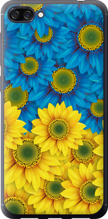 Чехол на Asus ZenFone 4 Max ZC520KL Жовто-блакитні квіти 1048u-1242 (Жовтий)