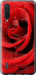 Чохол на Xiaomi Mi 9 Lite Червона троянда 529u-1834 (Червоний)