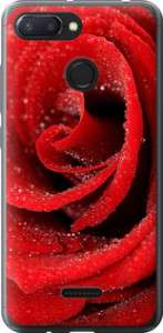 Чехол на Xiaomi Redmi 6 Красная роза 529t-1521 (Красный)