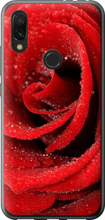 Чохол на Xiaomi Redmi 7 Червона троянда 529u-1669 (Червоний)