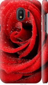 Чохол на Samsung Galaxy J2 2018 Червона троянда 529m-1351 (Червоний)