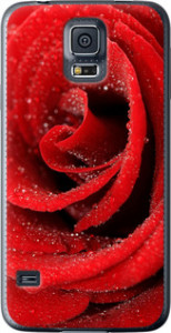 Чехол на Samsung Galaxy S5 Duos SM G900FD Красная роза 529u-62 (Красный)