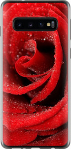 Чехол на Samsung Galaxy S10 Красная роза 529u-1640 (Красный)