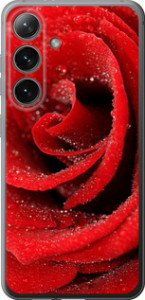 Чехол на Samsung Galaxy S24 Красная роза 529u-3390 (Красный)